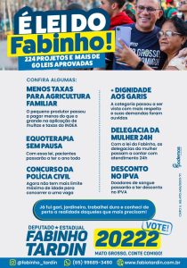 é lei do fabinho
