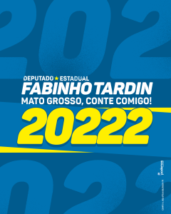 somente numero